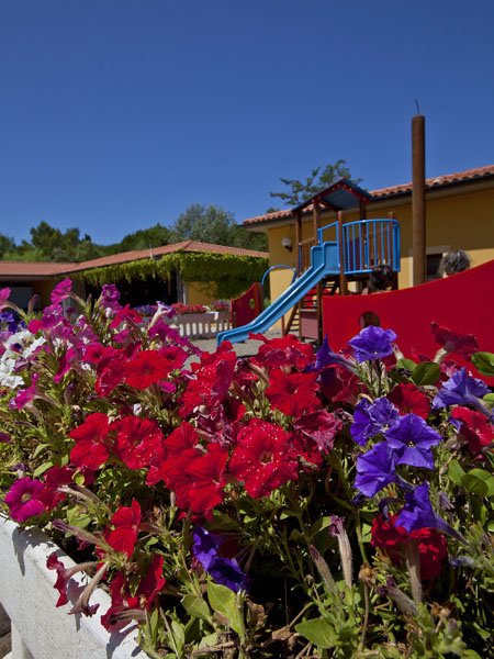 Fiori rossi e viola in primo piano, parco giochi con scivolo blu sullo sfondo.