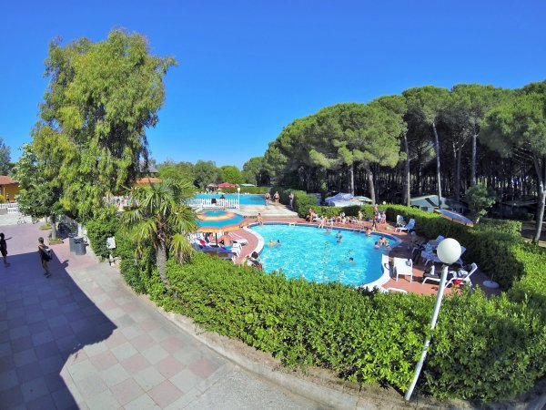 Una grande piscina circondata da alberi e persone che si rilassano, con un cielo blu limpido.
