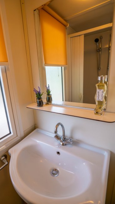 Lavandino del bagno con specchio, piante in vaso e flacone di sapone.