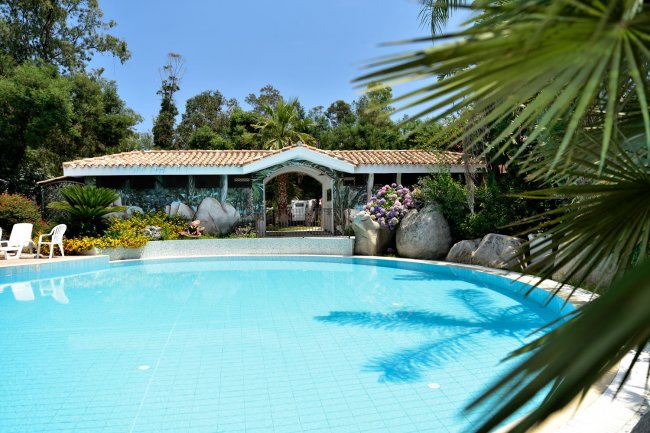 Piscina azzurra con ingresso decorato e palme.