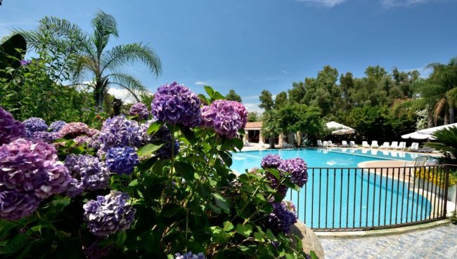 Piscina circondata da fiori viola e palme.