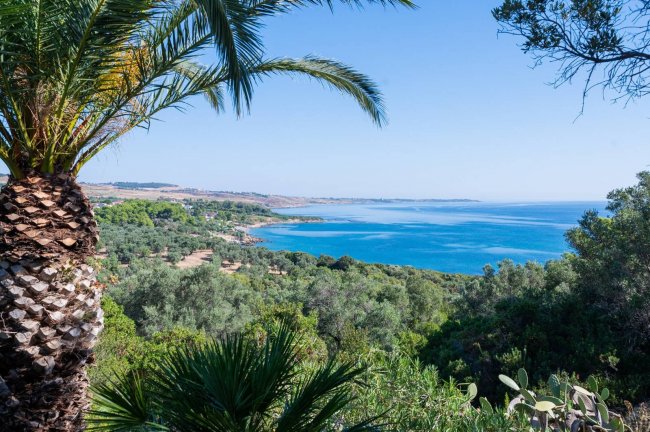 Costa con mare e vegetazione.