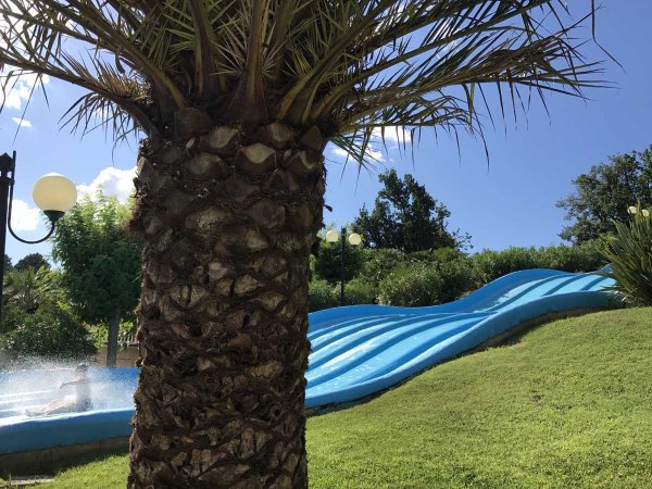 Scivolo d'acqua ondulato vicino a un albero di palma.