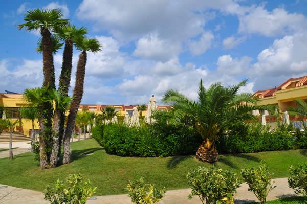 Giardino con palme e cespugli, sotto un cielo parzialmente nuvoloso.