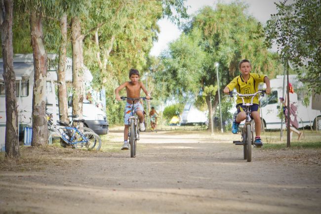 Due bambini in bici su un sentiero alberato in campeggio.