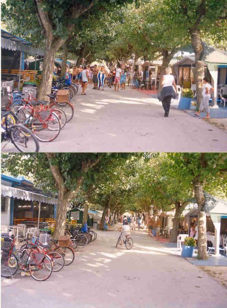 Una strada alberata con biciclette parcheggiate e persone che passeggiano.