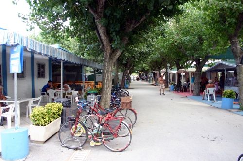 Vialetto alberato con biciclette parcheggiate e tavoli all'aperto su entrambi i lati.