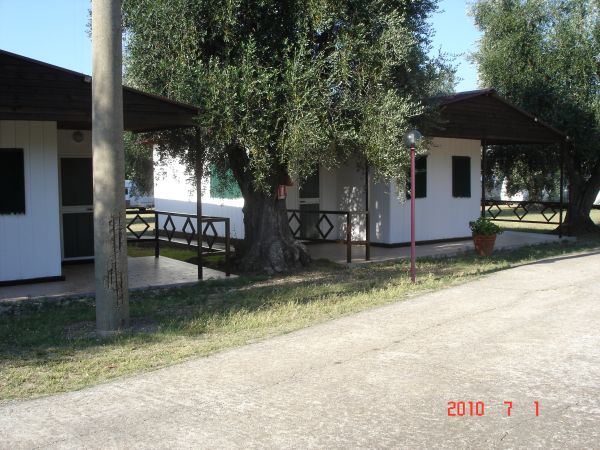 Due bungalow bianchi con tetto in legno, circondati da alberi e vegetazione.