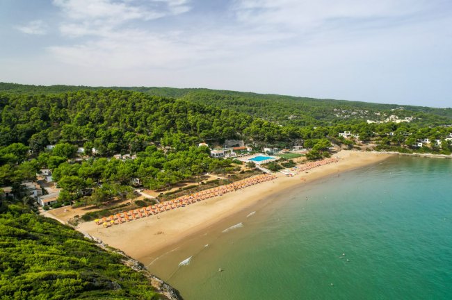 Vista aerea di una spiaggia con mare e vegetazione.