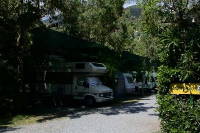 Camper parcheggiati tra gli alberi.