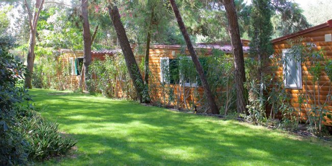 Bungalow in legno tra alberi.