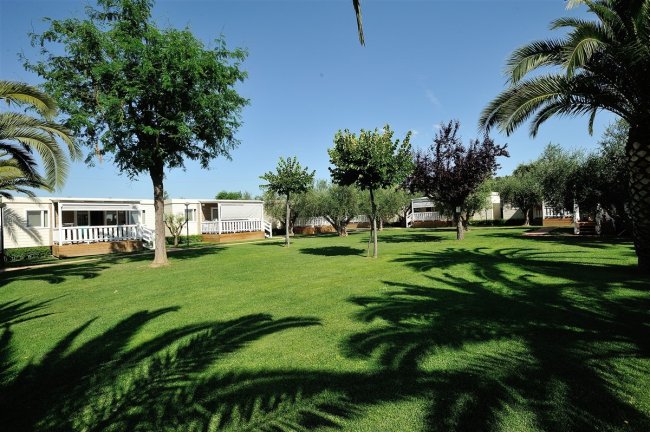 Don Antonio Glamping Village (TE) Abruzzo