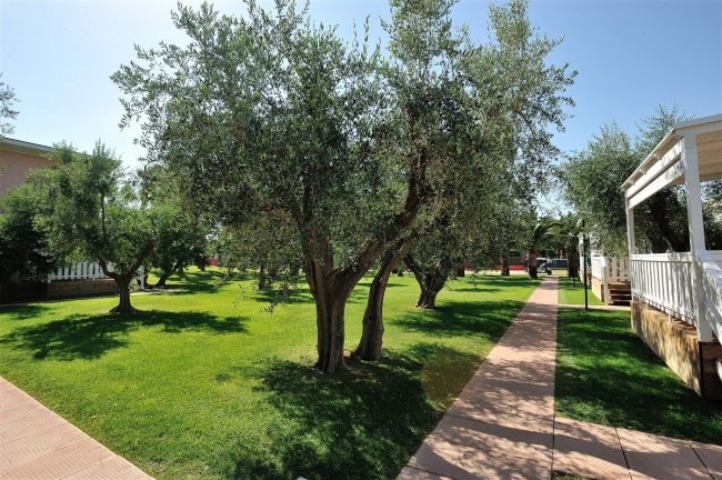 Don Antonio Glamping Village (TE) Abruzzo