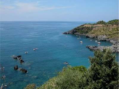Una costa rocciosa con mare blu e vegetazione rigogliosa in primo piano.