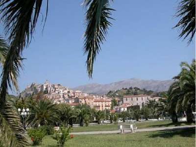 Vista su un paesaggio cittadino con palme, edifici su una collina e montagne sullo sfondo.