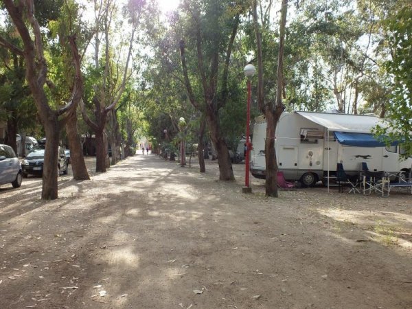 Sentiero alberato con camper e lampioni.