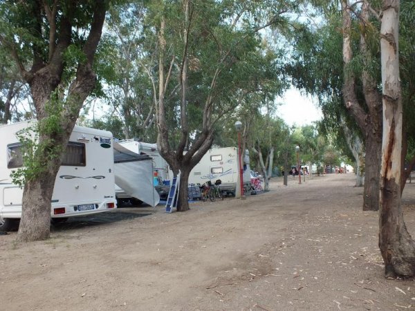Caravan parcheggiati lungo un viale alberato.