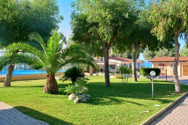 Giardino con alberi e palme vicino a un edificio.