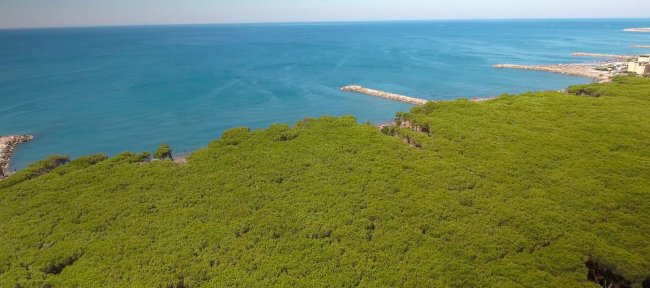 Costa boscosa che si affaccia sul mare.