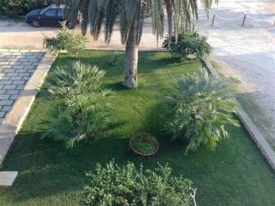 Un giardino curato con palme e cespugli, visto dall'alto.