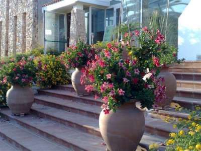 Vasi di terracotta con fiori colorati disposti su gradini davanti a un edificio in pietra.