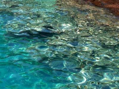 Mare limpido con riflessi azzurri, verdi e marroni vicino alla costa.