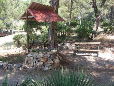 Un'area picnic con panchina sotto un tetto di legno tra alberi e vegetazione.