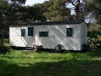 Una casa mobile bianca con finestre verdi, circondata da erba e alberi.