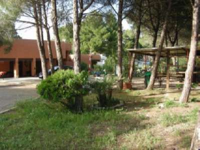 Un giardino alberato con un edificio arancione sullo sfondo.