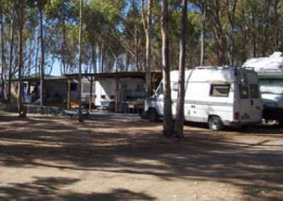 Area camper tra alberi, con veicoli parcheggiati vicino a strutture semplici.