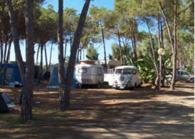 Camper vintage e tende in un boschetto ombreggiato.