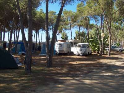 Area campeggio con roulotte e tende tra gli alberi.