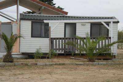 Una casa mobile bianca con tetto verde, veranda e palme sul davanti.