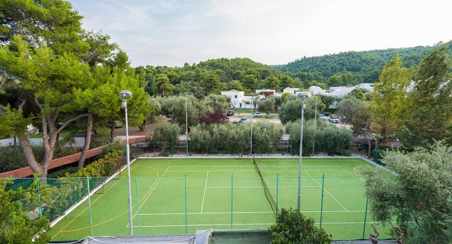 Campo da tennis circondato da alberi.