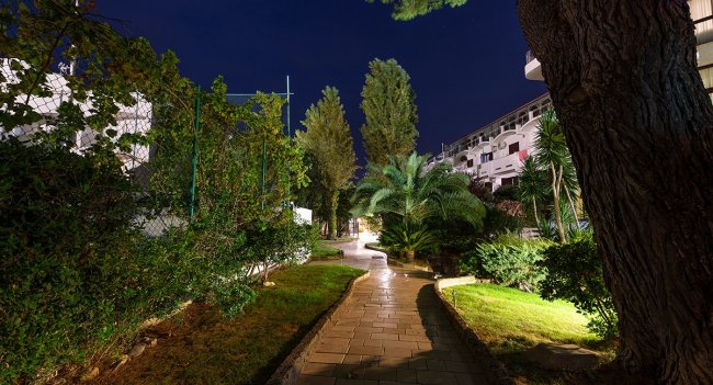 Sentiero illuminato tra alberi e cespugli di notte.