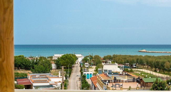 Vista mare con case e alberi.