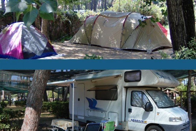 Campeggio con una tenda e un camper sotto gli alberi.