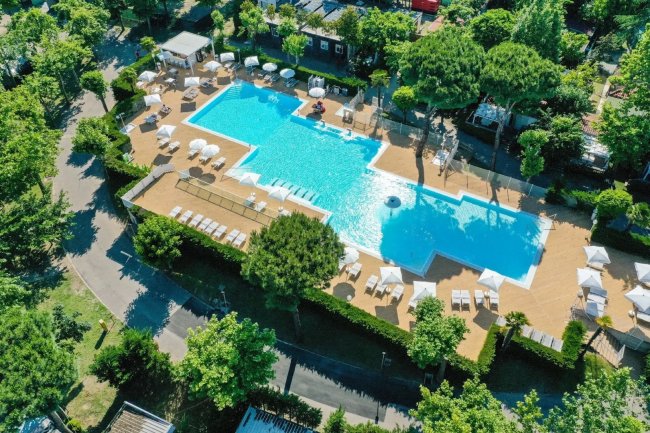 Grande piscina rettangolare circondata da verde e ombrelloni.