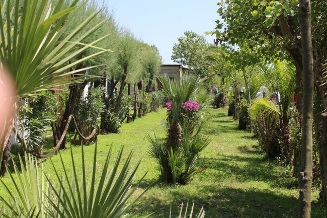 Lido Villaggio Il Ragno (LT) Lazio