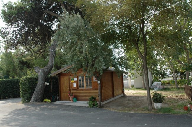 Casetta di legno tra alberi.
