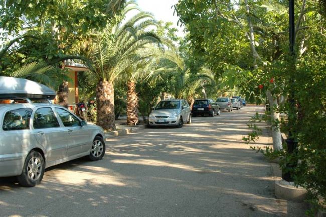 Strada con auto parcheggiate e palme.