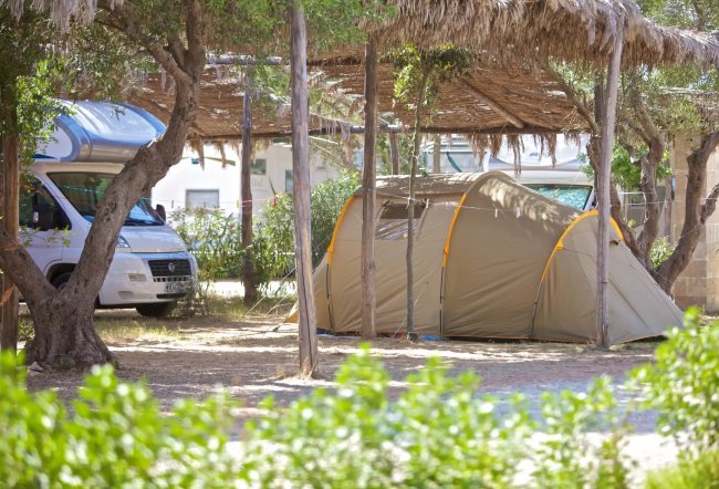 Tenda da campeggio e camper sotto una pergola.