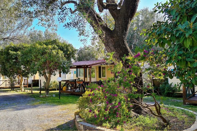Una casa mobile in un campeggio, circondata da alberi e arbusti fioriti.