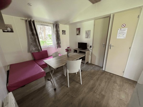 Soggiorno con divano rosa, tavolo con sedia, televisore e decorazioni su parete, finestra con tende.