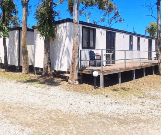 Una casa mobile bianca con una veranda, circondata da alberi.