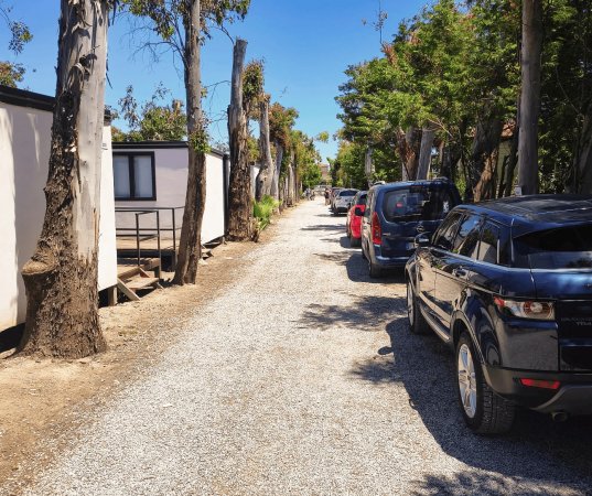 Un vialetto sterrato con case mobili a sinistra e auto parcheggiate a destra.