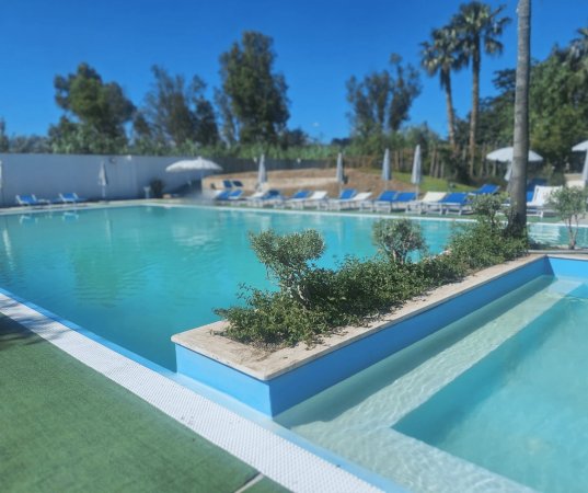 Piscina all'aperto con sdraio e ombrelloni, vegetazione intorno.