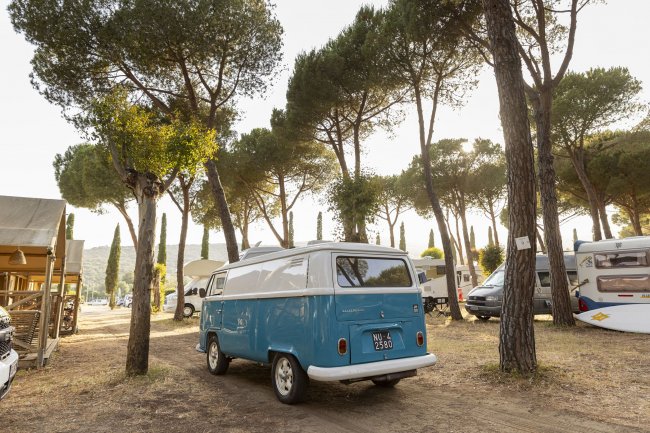 Furgoncino azzurro parcheggiato tra gli alberi del campeggio.