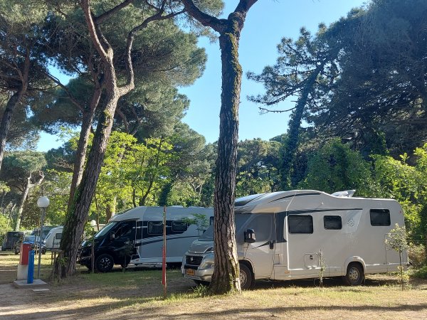 Camper parcheggiati in un'area boschiva.