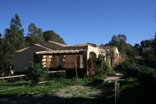 Casa con tetto in tegole tra alberi e piante verdi.